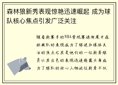 森林狼新秀表现惊艳迅速崛起 成为球队核心焦点引发广泛关注